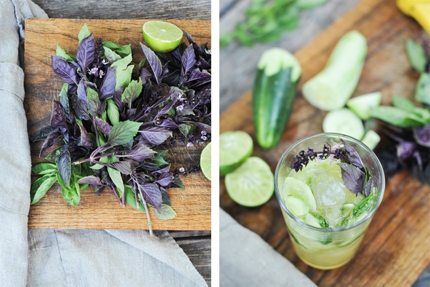 bazilik_ogurez bazilik_ogurez