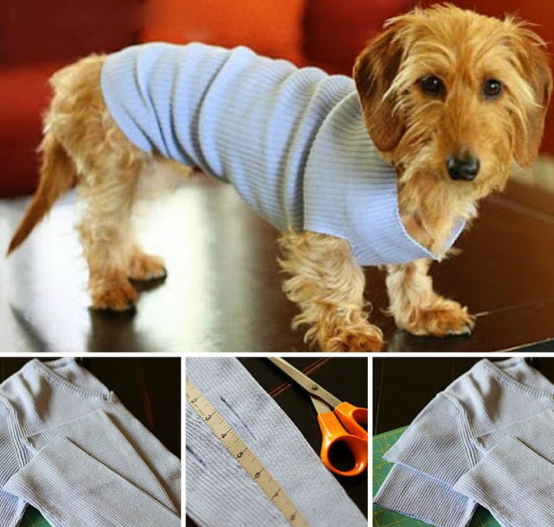 одежда для собаки из свитера