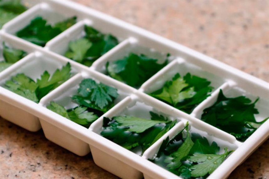 zamorozka_zeleni zamorozka_zeleni