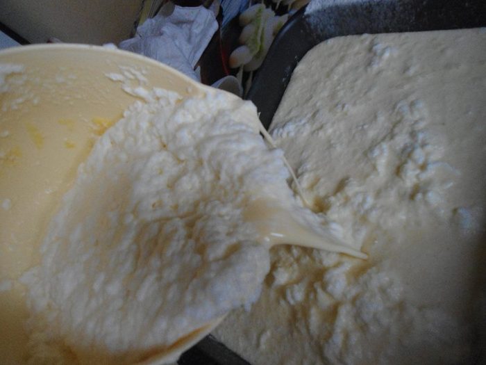 вымешанное тесто вымешанное тесто