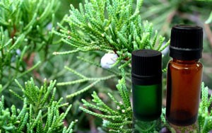 Избавляемся от насекомых