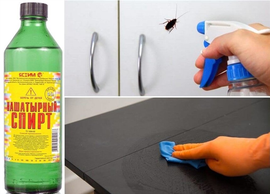 Нашатырный спирт Нашатырный спирт