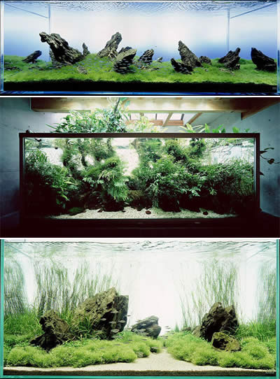 Художественный аквариум