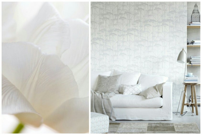 белый белый