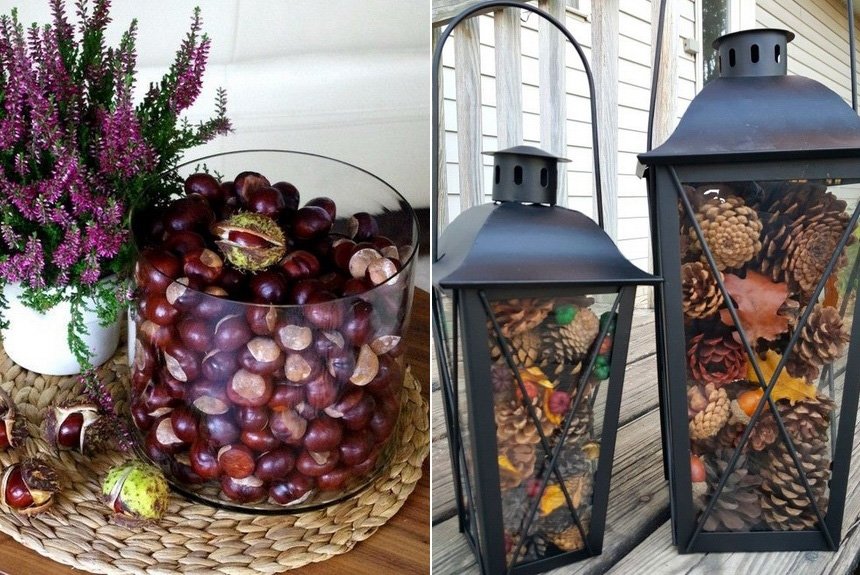 Дары природы