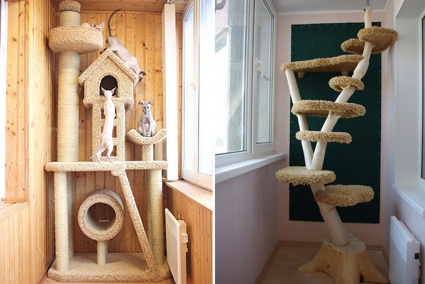 Место для животных