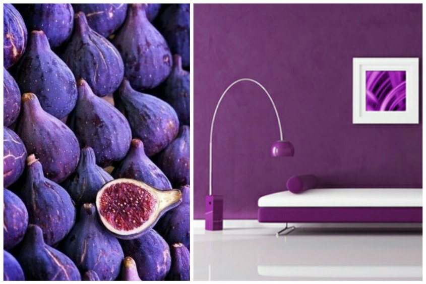 фиолетовый фиолетовый