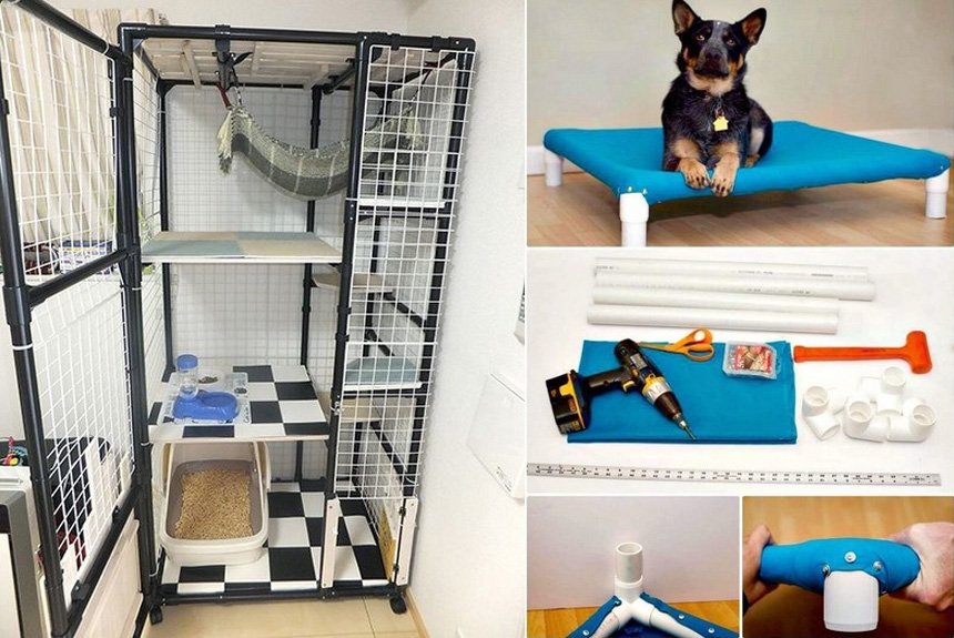 Место для питомца