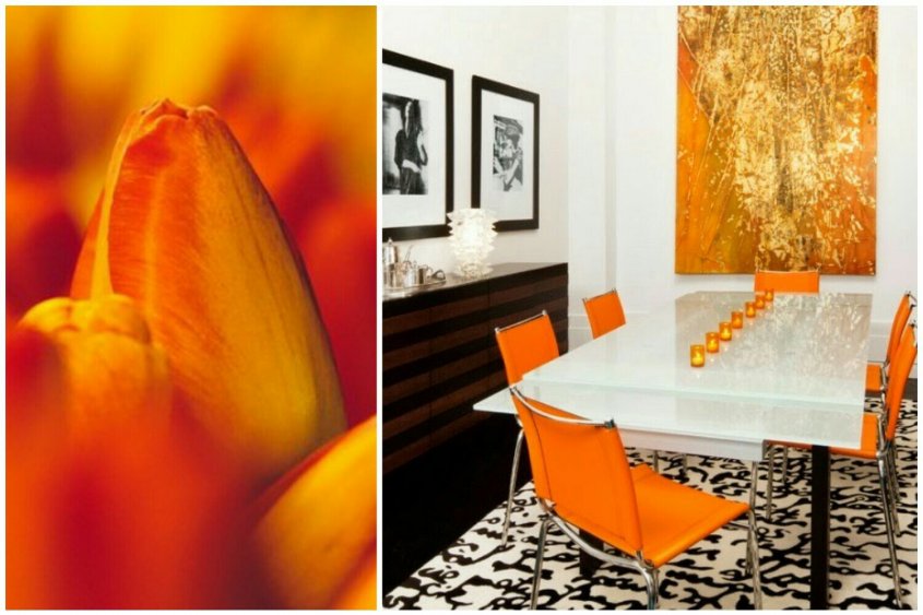 оранжевый оранжевый