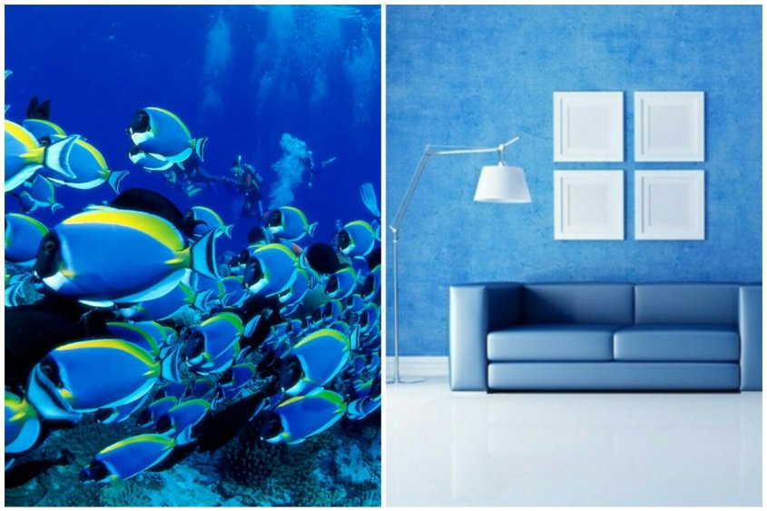 синий синий