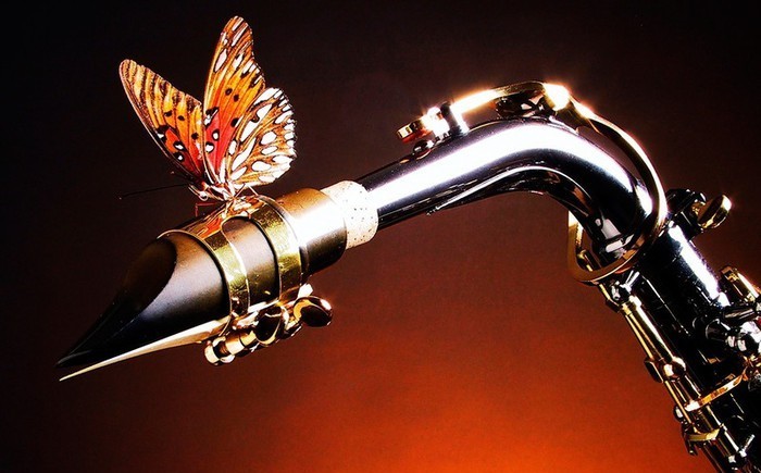 Успокоительные звуки Успокоительные звуки