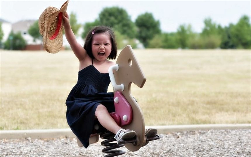 Лошадка-качалка Лошадка-качалка