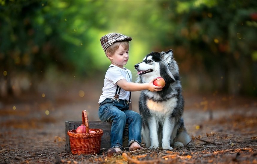Дети и животные