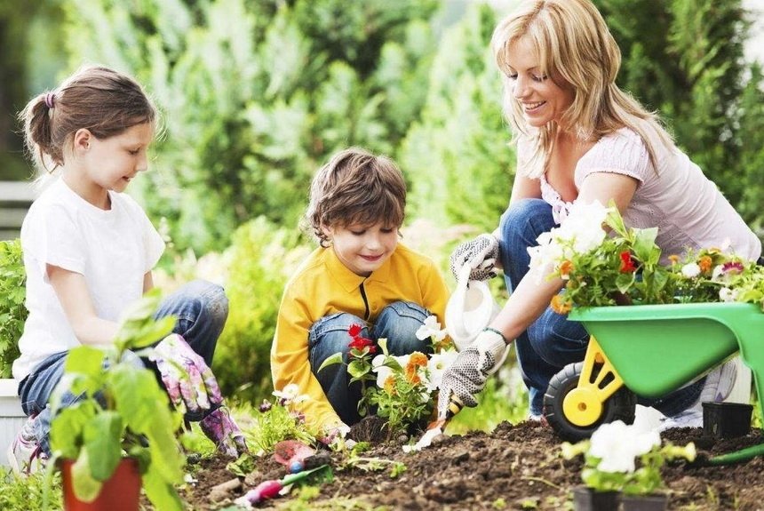 Приобщить детей к садоводству Приобщить детей к садоводству