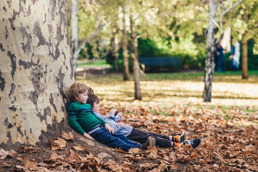 Мечты Мечты