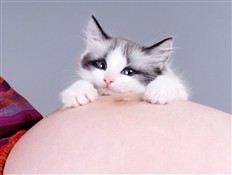 Разрушаем мифы: 12 самых абсурдных суеверий о беременности