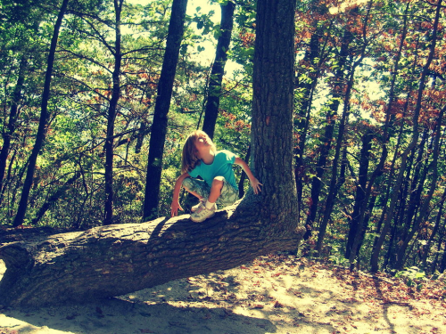 поход поход