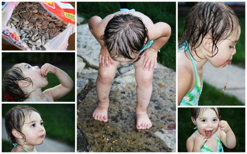 семечки семечки