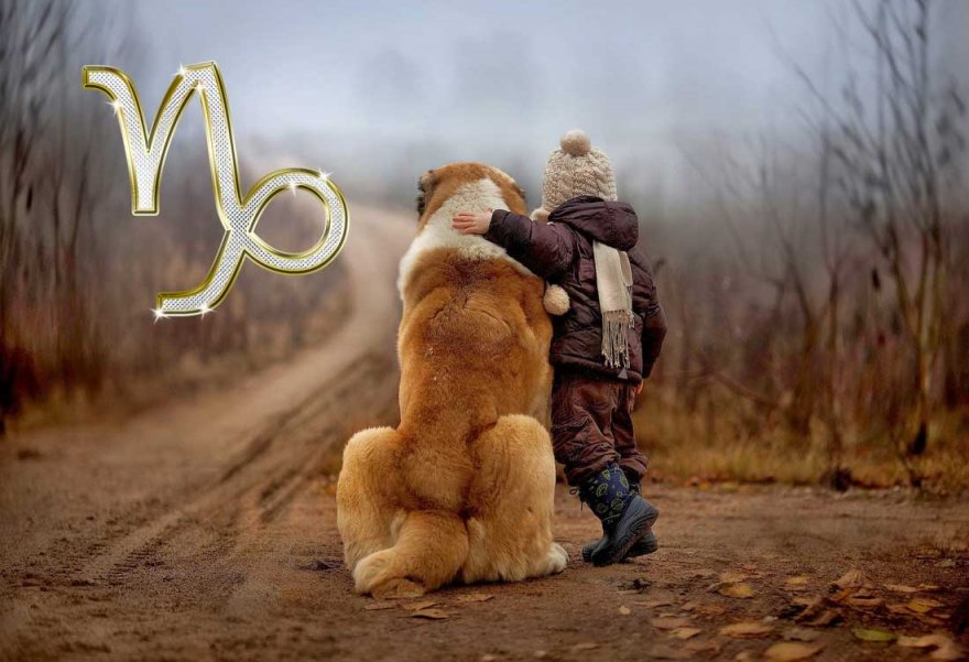 знак_зодиака_козерог