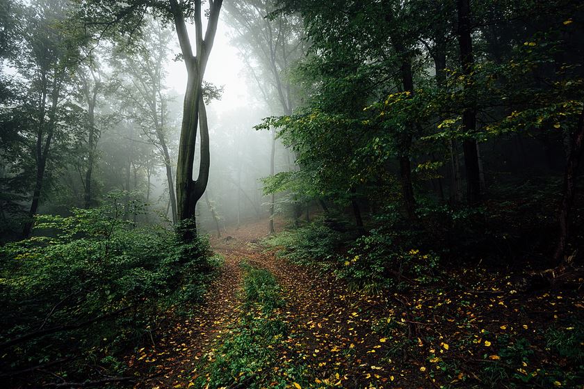 Неизвестный путь