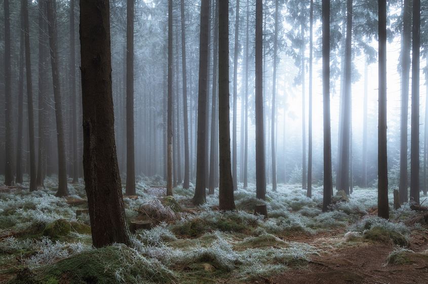 Загадочность