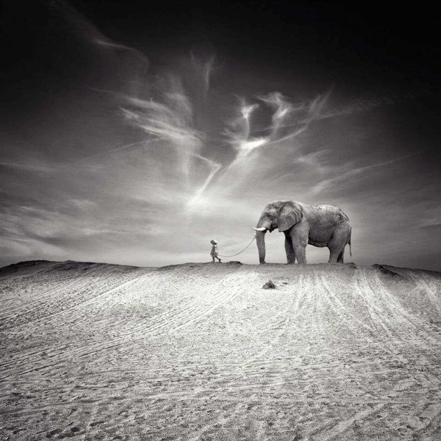 Прогуляйся со мной