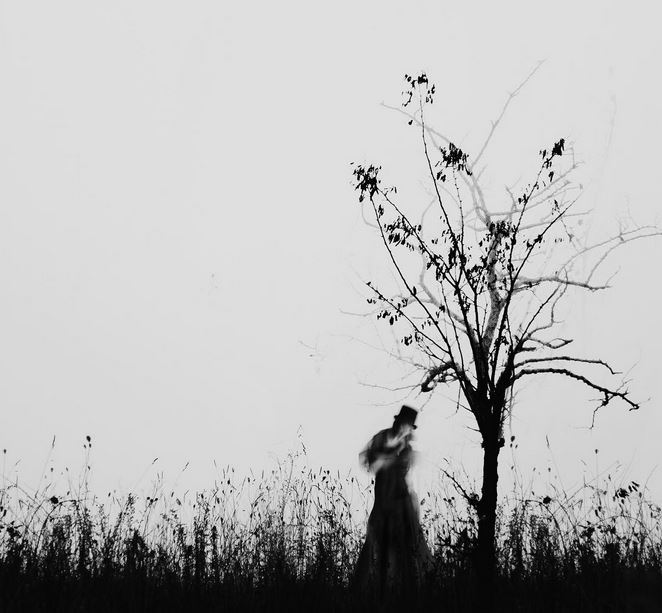 Под деревом