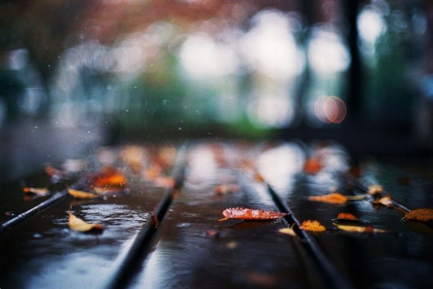 Осеннее фото