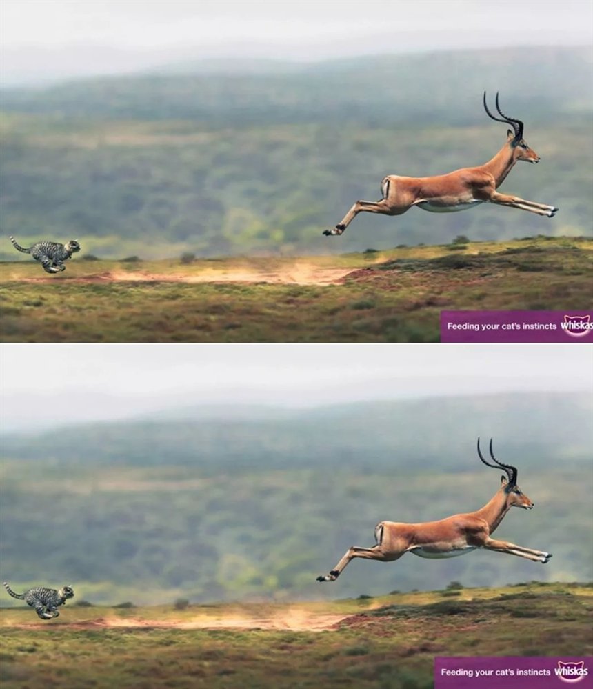 50 самых необычных реклам со всего мира: они запомнятся надолго 50 самых необычных реклам со всего мира: они запомнятся надолго