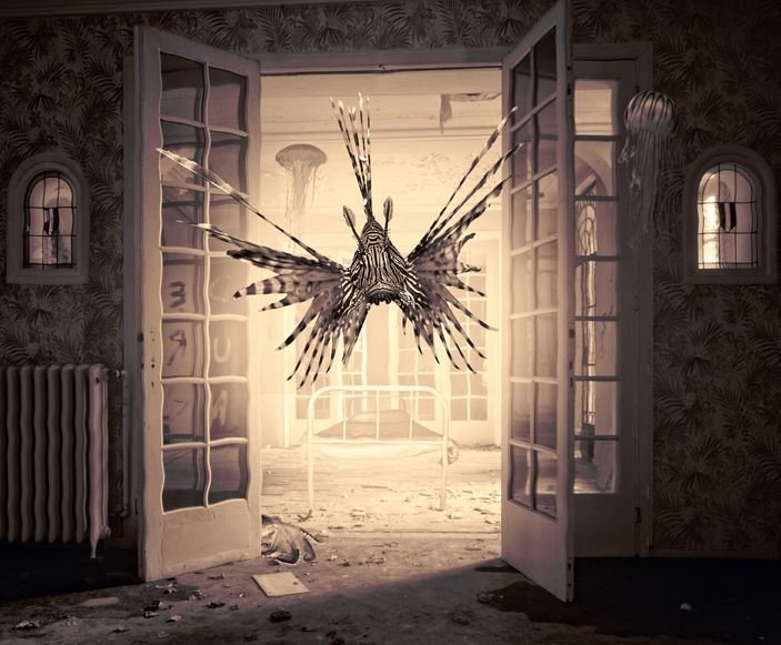 Летающая рыба