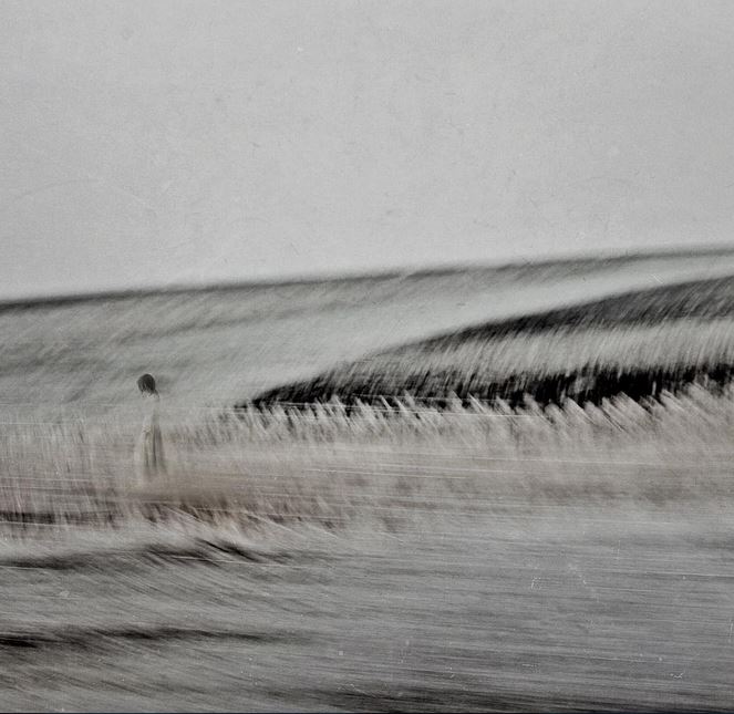 Неоднозначный снимок