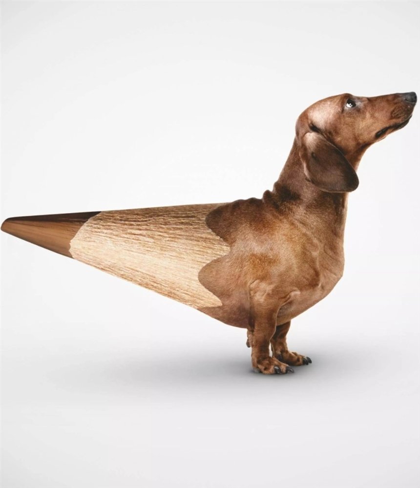 50 самых необычных реклам со всего мира: они запомнятся надолго 50 самых необычных реклам со всего мира: они запомнятся надолго