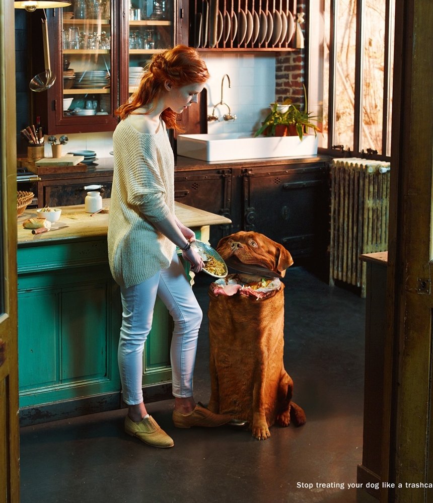 50 самых необычных реклам со всего мира: они запомнятся надолго 50 самых необычных реклам со всего мира: они запомнятся надолго