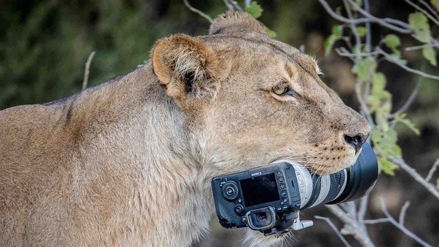 5 вещей, о которых вы пожалеете, став фотографом