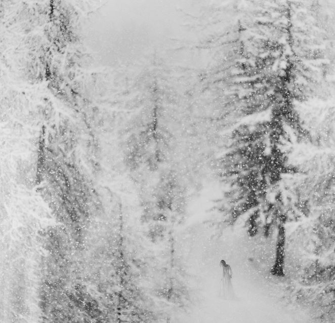 Огромный лес