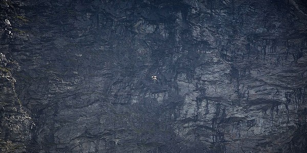 Безумный вингсьют 