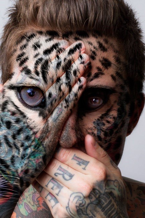 Лица дикой природы Лица дикой природы