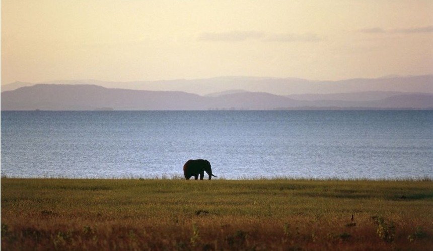 Красивое фото природы 