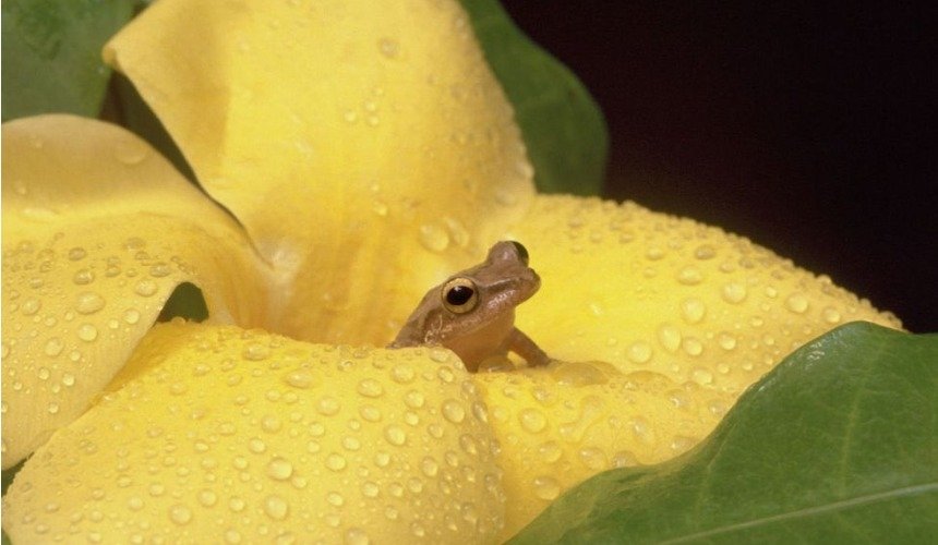 Красивое фото природы 