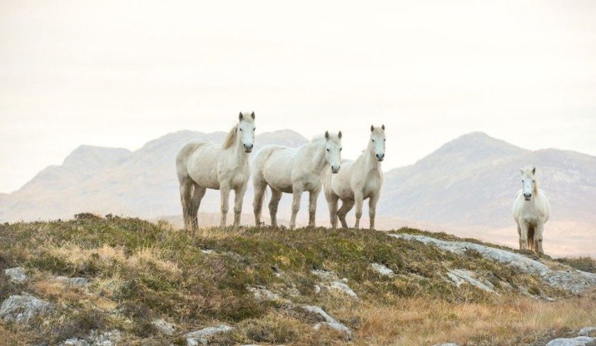Красивое фото природы 