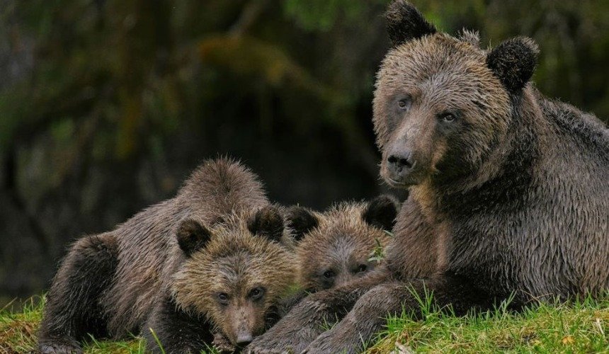 Красивое фото природы 