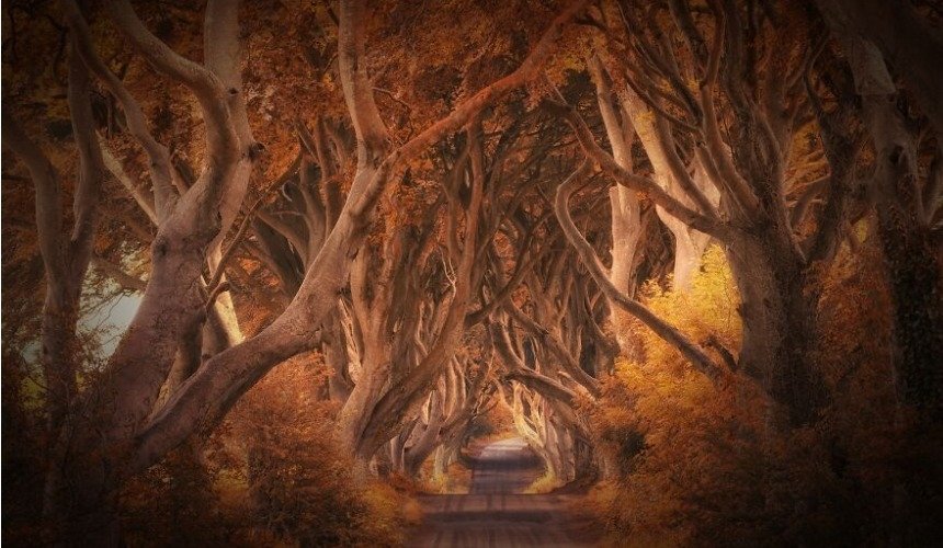 Красивое фото природы 