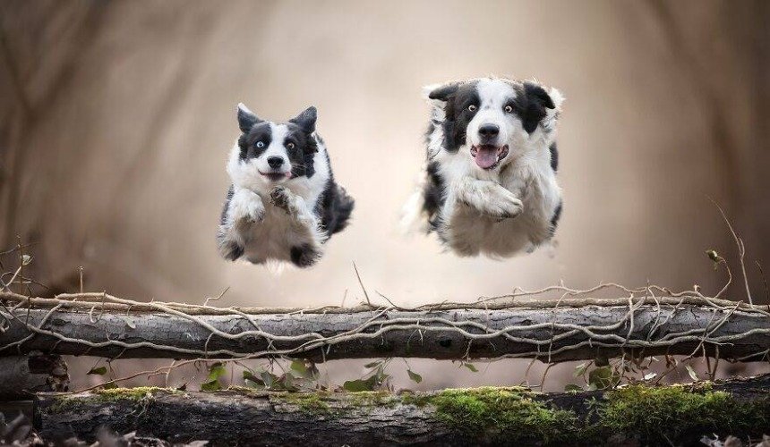 Красивое фото природы 