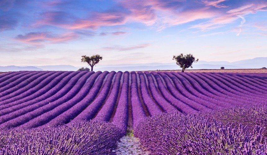 Прованс, Франция