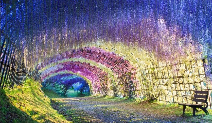 Сад Кавати Фудзи, Япония