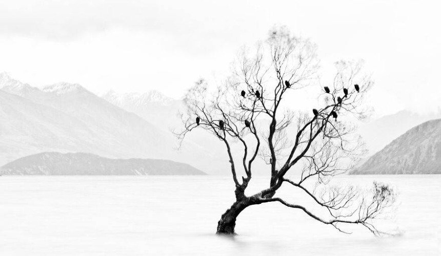 Красивое фото природы 