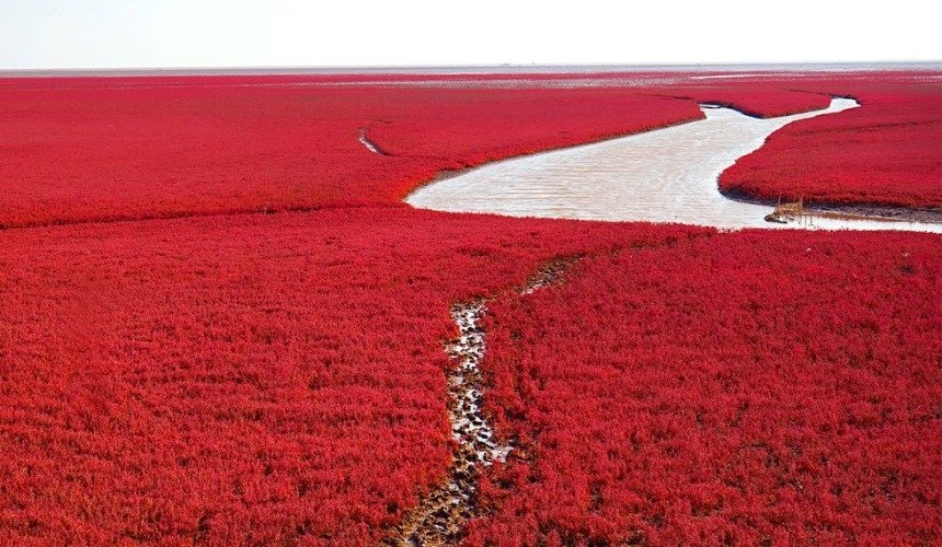 Красивое фото природы 