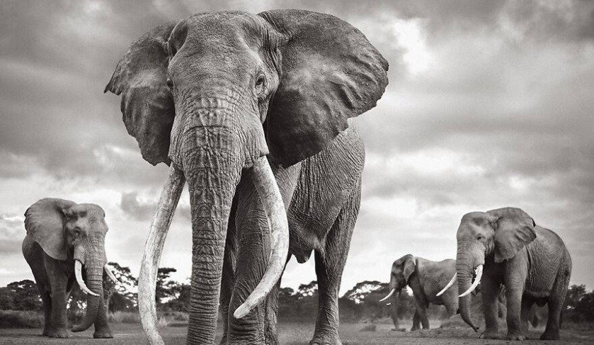 Красивое фото природы 