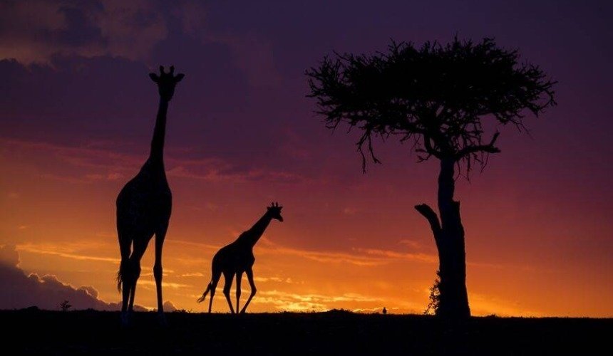 Красивое фото природы 