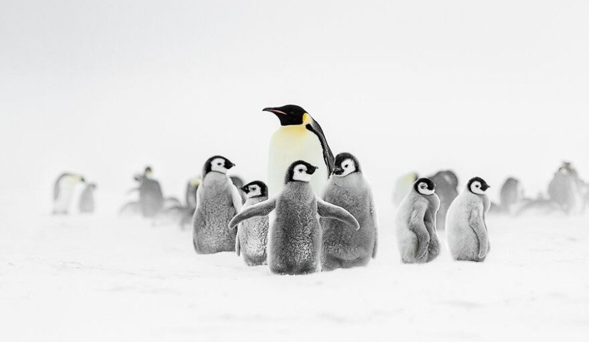 Красивое фото природы 